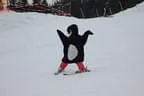 Skishow Bild 84