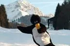 Skishow Bild 11
