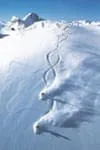 Ski-Guiding