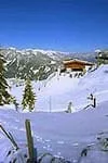 Ski-area