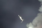 Silvester Bild 0