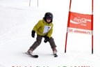 Schischulrennen 6.1.2011 Bild 82